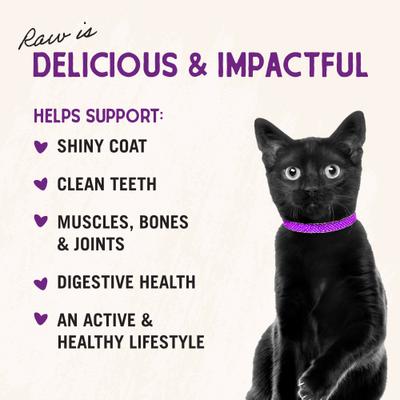 Show full view: Stella & Chewy's Chick Chick Chicken Dinner Morsels Freeze-Dried Raw Cat Food, 1-oz bag slide 7 of 13