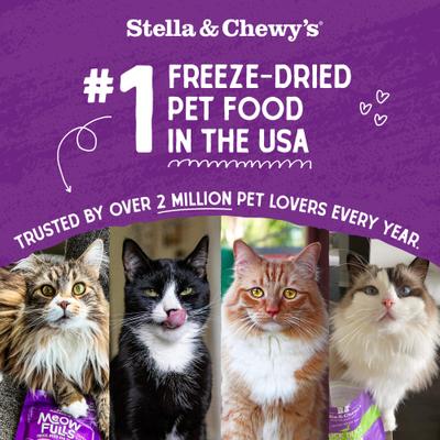 Show full view: Stella & Chewy's Chick Chick Chicken Dinner Morsels Freeze-Dried Raw Cat Food, 1-oz bag slide 3 of 13