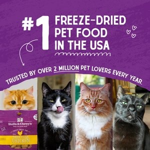 Stella & Chewy's Chick Chick Chicken Dinner Morsels Freeze-Dried Raw Cat Food, 1-oz bag