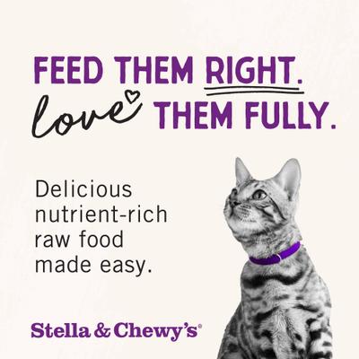 Show full view: Stella & Chewy's Chick Chick Chicken Dinner Morsels Freeze-Dried Raw Cat Food, 1-oz bag slide 10 of 13