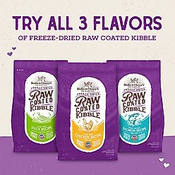 Stella & Chewy's Chicken Flavored Raw Coated Cage Free Dry Cat Food, 10-lb bag slide 2 of 8