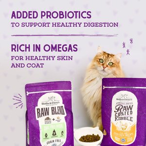 Stella & Chewy's Chicken Flavored Raw Coated Cage Free Dry Cat Food, 10-lb bag