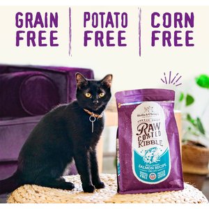 Stella & Chewy's Chicken Flavored Raw Coated Cage Free Dry Cat Food, 10-lb bag
