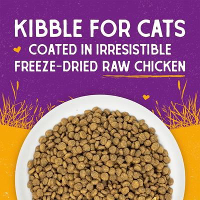 Show full view: Stella & Chewy's Chicken Flavored Raw Coated Cage Free Dry Cat Food, 5-lb bag slide 6 of 10
