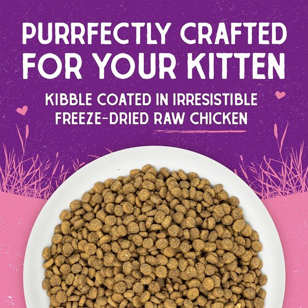 Stella & Chewy's Chicken Flavored Raw Coated Cage-Free Kitten Dry Cat Food
