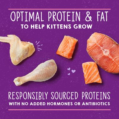 Show full view: Stella & Chewy's Chicken & Salmon Flavored Pate Kitten Wet Cat Food, 5.2-oz can, case of 24 slide 5 of 10