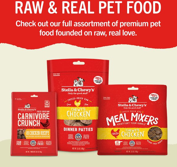 Stella & Chewy's Dental Delights Extra Small Chicken & Parsley Dental Dog Treats