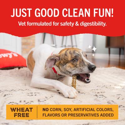 Show full view: Stella & Chewy's Dental Delights Large Chicken & Parsley Dental Dog Treats, 23.2-oz bag slide 7 of 10