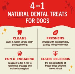 Stella & Chewy's Dental Delights Medium Chicken & Parsley Dental Dog Treats, 23.2-oz bag slide 2 of 8