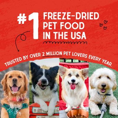 Show full view: Stella & Chewy's Duck Duck Goose Dinner Patties Freeze-Dried Raw Dog Food, 50-oz bundle slide 3 of 13