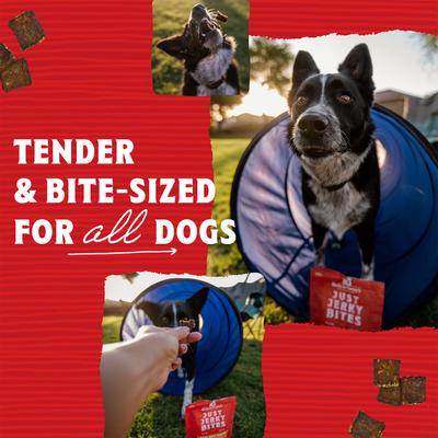 Show full view: Stella & Chewy's Just Jerky Bites Real Beef Recipe Grain-Free Dog Treats, 12-oz bundle slide 5 of 11
