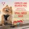 Show in main carousel: Stella & Chewy's Lil Bites Savory Stews Grain-Free Chicken & Chicken Liver in Broth Flavored Shredded Small Breed Wet Dog Food, 2.7-oz cup, case of 12 slide 8 of 10