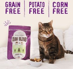 Stella & Chewy's Poultry Flavored Raw Blend Cage Free Recipe Dry Cat Food, 10-lb bag slide 2 of 8