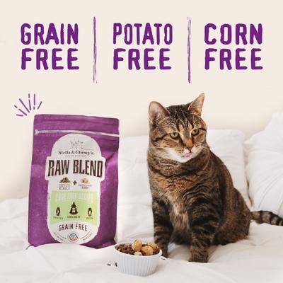 Show full view: Stella & Chewy's Poultry Flavored Raw Blend Cage Free Recipe Dry Cat Food, 10-lb bag slide 5 of 10