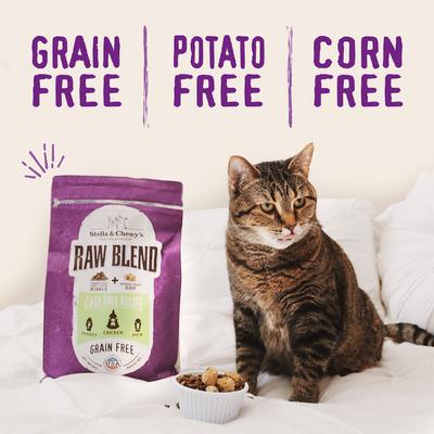 Show full view: Stella & Chewy's Poultry Flavored Raw Blend Cage Free Recipe Dry Cat Food, 5-lb bag slide 5 of 10