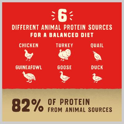 Show full view: Stella & Chewy's Puppy Prairie Recipe Wild Red Raw Coated High Protein Wholesome Grains Dry Dog Food, 21-lb bag slide 7 of 11