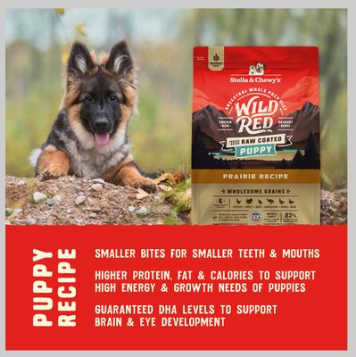 Show full view: Stella & Chewy's Puppy Prairie Recipe Wild Red Raw Coated High Protein Wholesome Grains Dry Dog Food, 21-lb bag slide 8 of 11
