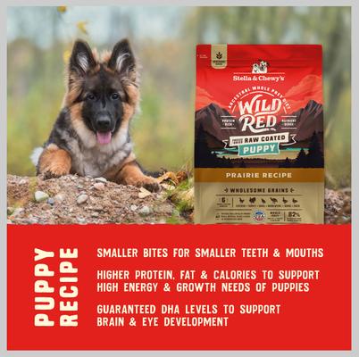 Show full view: Stella & Chewy's Puppy Prairie Recipe Wild Red Raw Coated High Protein Wholesome Grains Dry Dog Food, 3.5-lb bag slide 8 of 11