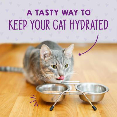 Show full view: Stella & Chewy's Purrfect Pate Chicken & Salmon Flavored Pate Wet Cat Food, 2.8-oz can, case of 24 slide 8 of 10