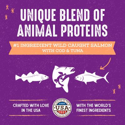 Show full view: Stella & Chewy's Raw Blend Wild Caught Recipe Dry Cat Food, 2.5-lb bag slide 3 of 10