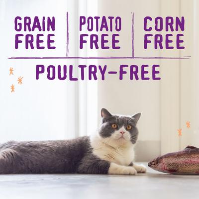 Show full view: Stella & Chewy's Raw Blend Wild Caught Recipe Dry Cat Food, 2.5-lb bag slide 5 of 10