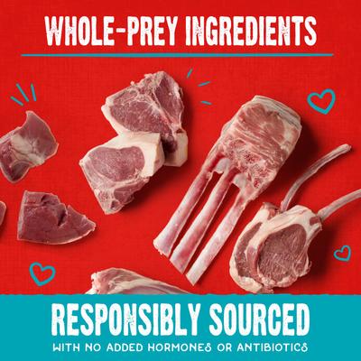 Show full view: Stella & Chewy's Raw Coated Biscuits Grass-Fed Lamb Recipe Freeze-Dried Grain-Free Dog Treats, 9-oz bag slide 6 of 9