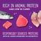 Show in main carousel: Stella & Chewy's Savory Shreds Tuna & Mackerel Flavored Shredded Wet Cat Food, 2.8-oz can, case of 24 slide 5 of 9