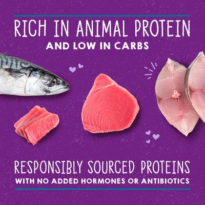 Show full view: Stella & Chewy's Savory Shreds Tuna & Mackerel Flavored Shredded Wet Cat Food, 5.2-oz can, case of 24 slide 5 of 9