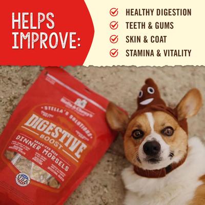 Show full view: Stella & Chewy's Stella's Solutions Digestive Boost Freeze-Dried Raw Grass-Fed Beef Dinner Morsels Dog Food, 26-oz bundle slide 5 of 9