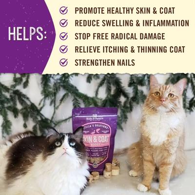Show full view: Stella & Chewy's Stella's Solutions Skin & Coat Support Duck & Salmon Freeze-Dried Raw Cat Food, 7.5-oz bag slide 5 of 10