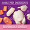 Show in main carousel: Stella & Chewy's Stella's Solutions Skin & Coat Support Duck & Salmon Freeze-Dried Raw Cat Food, 7.5-oz bag slide 6 of 10