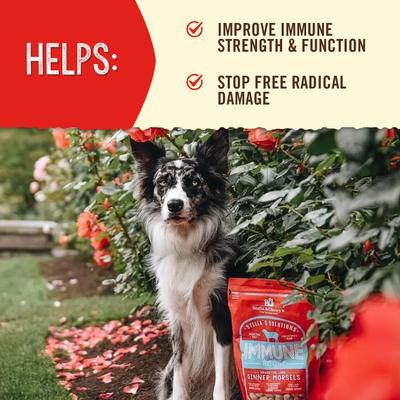 Show full view: Stella & Chewy's Stella's Solutions Skin & Coat Lamb & Salmon + Immune Boost Lamb Freeze-Dried Dog Food slide 9 of 9