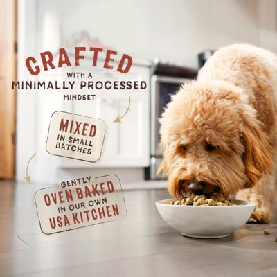 Show full view: Stella & Chewy's SuperBlends Raw Blend Wholesome Grains Cage-Free Chicken & Duck Recipe with Superfoods Dry Dog Food, 3.25-lb bag slide 5 of 11