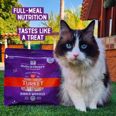 Show full view: Stella & Chewy's Tummy Ticklin' Turkey Dinner Morsels Freeze-Dried Raw Cat Food, 18-oz bag, bundle of 2 slide 8 of 13