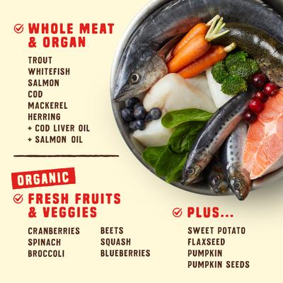 Show full view: Stella & Chewy's Wild Red Raw Coated Kibble Grain-Free Ocean Recipe Dry Dog Food, 21-lb bag slide 5 of 12