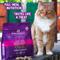 Show in main carousel: Stella & Chewy's Yummy Lickin' Salmon & Chicken Dinner Morsels Freeze-Dried Raw Cat Food, 18-oz bag, bundle of 2 slide 8 of 13