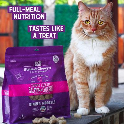 Show full view: Stella & Chewy's Yummy Lickin' Salmon & Chicken Dinner Morsels Freeze-Dried Raw Cat Food, 18-oz bag, bundle of 2 slide 8 of 13
