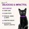 Show in main carousel: Stella & Chewy's Yummy Lickin' Salmon & Chicken Dinner Morsels Freeze-Dried Raw Cat Food, 1-oz bag slide 7 of 13