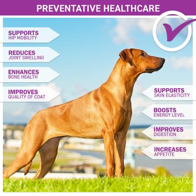 Show full view: Step Above Proteins Natural Pork Collagen Gelatin Protein Dog Supplement, 3-lb bag slide 4 of 7