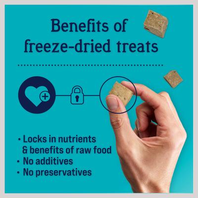 Show full view: Stewart Beef Liver, 21-oz tub + Beef Liver Freeze-Dried Dog Treats, 8-oz pouch slide 4 of 10