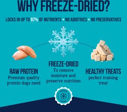 Stewart Chicken Breast Single Ingredient Freeze-Dried Raw Dog Treats, 2.5-oz bag slide 2 of 9