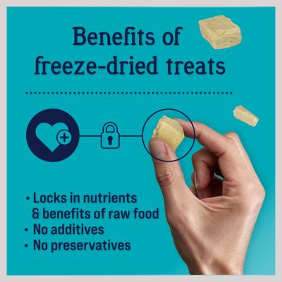 Show full view: Stewart Chicken Liver + Chicken Breast Freeze-Dried Dog Treats slide 8 of 10
