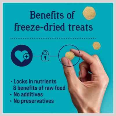 Show full view: Stewart PuffPops Bacon & Cheese Recipe Freeze-Dried Dog Treats, 2.8-oz pouch slide 5 of 10