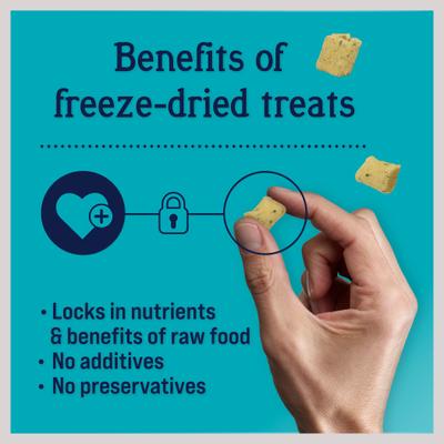 Show full view: Stewart Shine Salmon & Sweet Potato Recipe Grain-Free Freeze-Dried Dog Treat, 8-oz bag slide 5 of 11