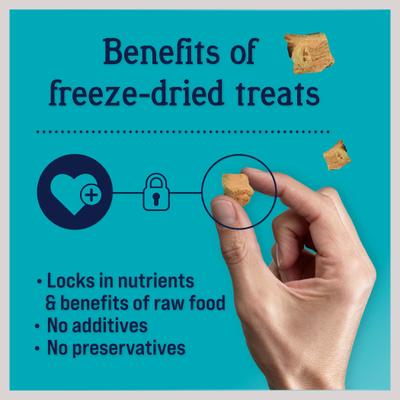 Show full view: Stewart Shine Salmon & Sweet Potato + Stewart Wild Salmon Freeze-Dried Dog Treats, 2.75-oz pouch, 2 count slide 7 of 10