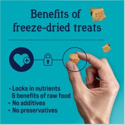 Stewart Wild Salmon, 9.5-oz tub + Wild Salmon Freeze-Dried Dog Treats, 2.75-oz pouch slide 2 of 9