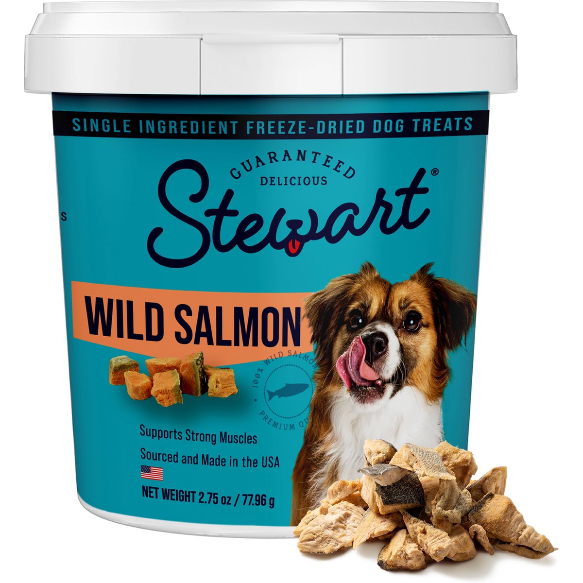 Stewart Wild Salmon Single Ingredient Freeze-Dried Raw Dog Treats, 2.75-oz tub