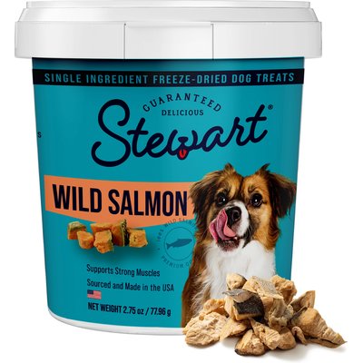 Stewart Stewart Wild Salmon Single Ingredient Freeze-Dried Raw Dog Treats, 2.75-oz tub