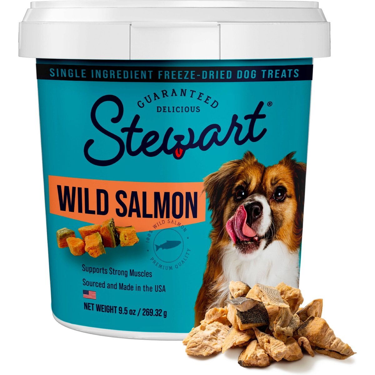 Stewart Wild Salmon Single Ingredient Freeze-Dried Raw Dog Treats, 9.5-oz tub