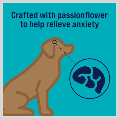 Show full view: Stewart Zen Beef & Pumpkin Recipe Grain-Free Freeze-Dried Dog Treat, 4-oz bag slide 4 of 11